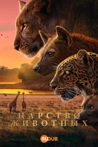 Царство животных